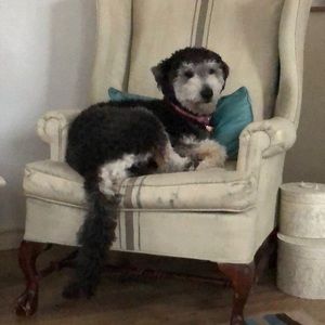 Meet your Posher, Jackie